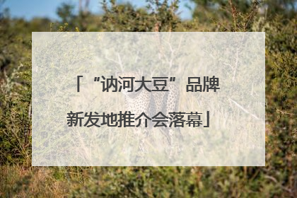 “讷河大豆”品牌新发地推介会落幕