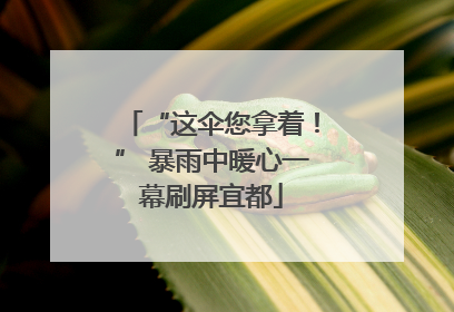 “这伞您拿着！” 暴雨中暖心一幕刷屏宜都