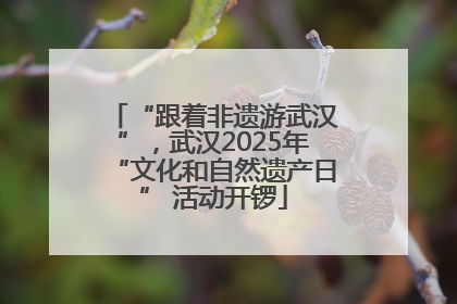 “跟着非遗游武汉”，武汉2025年“文化和自然遗产日” 活动开锣