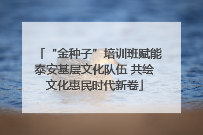 “金种子”培训班赋能泰安基层文化队伍 共绘文化惠民时代新卷