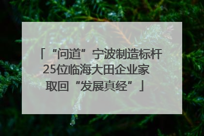 “问道”宁波制造标杆 25位临海大田企业家取回“发展真经”