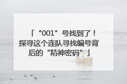 “001”号找到了！探寻这个连队寻找编号背后的“精神密码”
