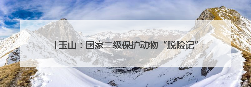 玉山：国家二级保护动物“脱险记” 警民爱心接力筑就生命驿站（图）