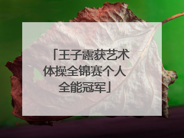 王子露获艺术体操全锦赛个人全能冠军