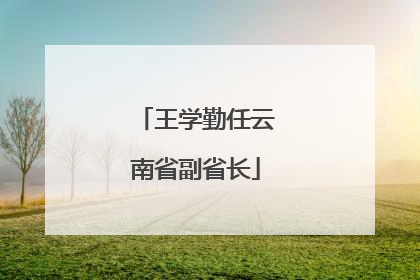 王学勤任云南省副省长