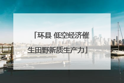 环县 低空经济催生田野新质生产力