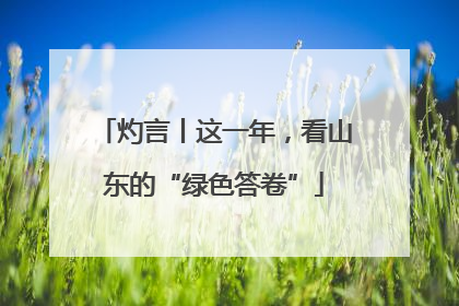 灼言丨这一年，看山东的“绿色答卷”