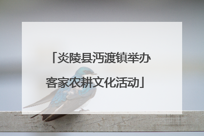 炎陵县沔渡镇举办客家农耕文化活动