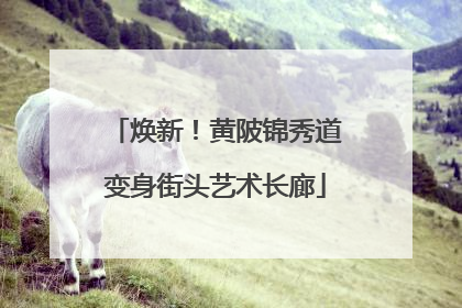 焕新！黄陂锦秀道变身街头艺术长廊