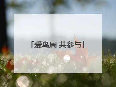 爱鸟周 共参与