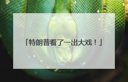 特朗普看了一出大戏！