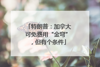 特朗普：加拿大可免费用“金穹”，但有个条件