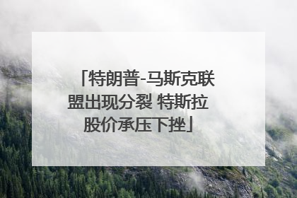 特朗普-马斯克联盟出现分裂 特斯拉股价承压下挫