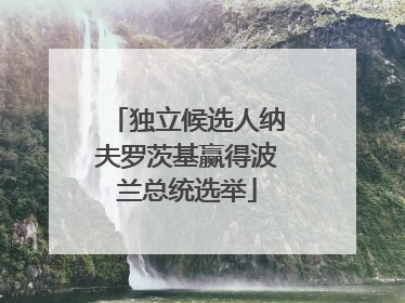 独立候选人纳夫罗茨基赢得波兰总统选举