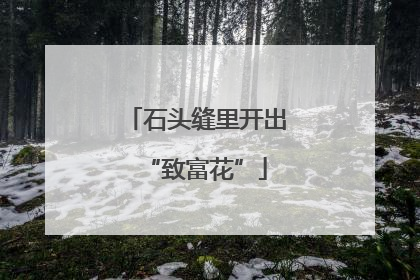 石头缝里开出“致富花”