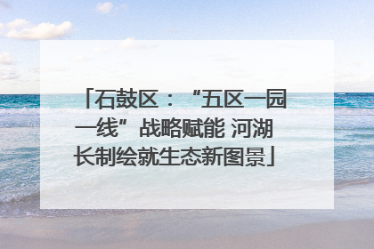 石鼓区：“五区一园一线”战略赋能 河湖长制绘就生态新图景