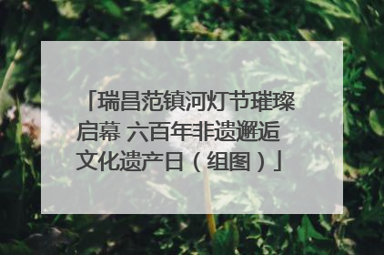 瑞昌范镇河灯节璀璨启幕 六百年非遗邂逅文化遗产日（组图）