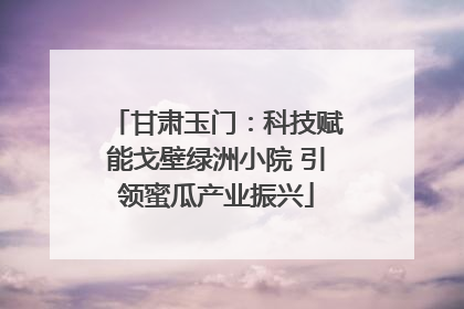 甘肃玉门：科技赋能戈壁绿洲小院 引领蜜瓜产业振兴