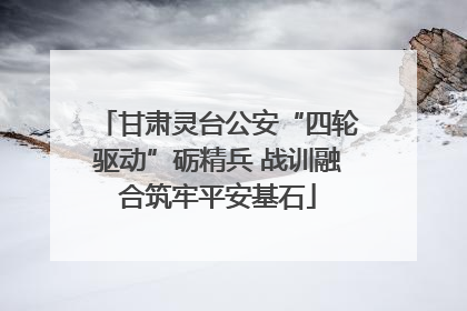甘肃灵台公安“四轮驱动”砺精兵 战训融合筑牢平安基石