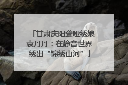 甘肃庆阳聋哑绣娘袁丹丹：在静音世界绣出“锦绣山河”