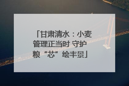 甘肃清水：小麦管理正当时 守护粮“芯”绘丰景