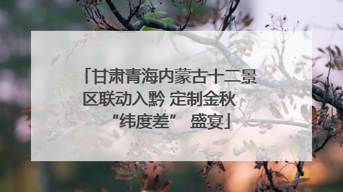 甘肃青海内蒙古十二景区联动入黔 定制金秋 “纬度差” 盛宴