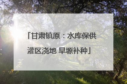 甘肃镇原：水库保供 灌区浇地 旱塬补种