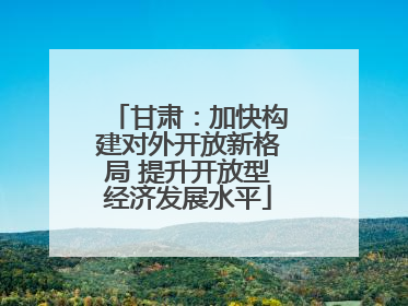 甘肃：加快构建对外开放新格局 提升开放型经济发展水平