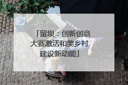 留坝：创新创意大赛激活和美乡村建设新动能