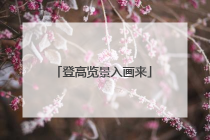 登高览景入画来