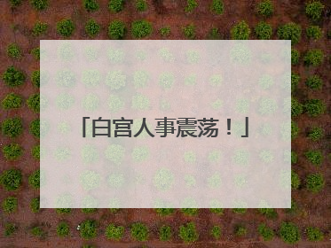 白宫人事震荡！