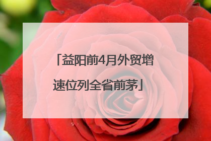益阳前4月外贸增速位列全省前茅