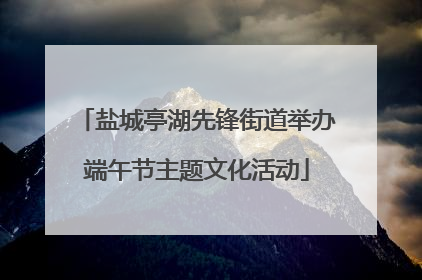 盐城亭湖先锋街道举办端午节主题文化活动