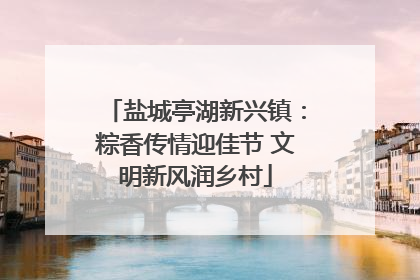 盐城亭湖新兴镇：粽香传情迎佳节 文明新风润乡村