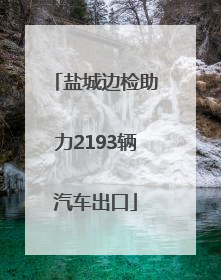 盐城边检助力2193辆汽车出口