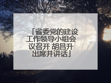 省委党的建设工作领导小组会议召开 胡昌升出席并讲话