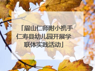 眉山仁师附小携手仁寿县幼儿园开展学联体实践活动