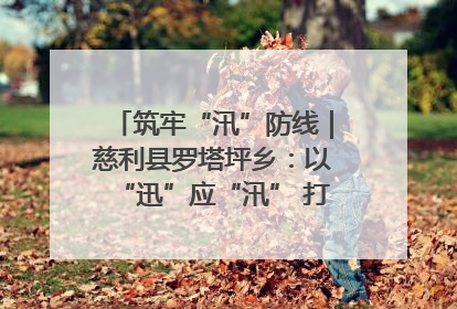 筑牢“汛”防线｜慈利县罗塔坪乡：以“迅”应“汛” 打赢暴雨防御战