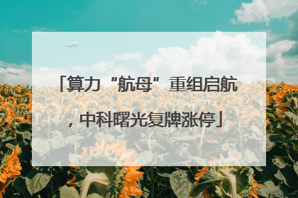 算力“航母”重组启航，中科曙光复牌涨停