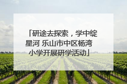 研途去探索，学中绽星河 乐山市中区杨湾小学开展研学活动
