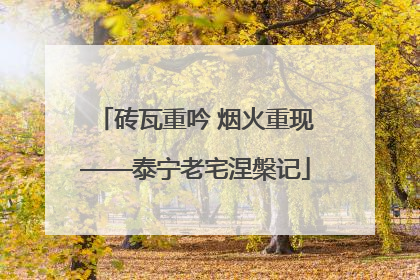 砖瓦重吟 烟火重现——泰宁老宅涅槃记