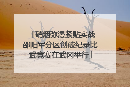 硝烟弥漫紧贴实战 邵阳军分区创破纪录比武竞赛在武冈举行