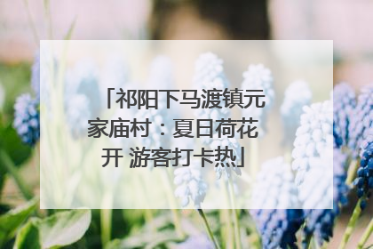 祁阳下马渡镇元家庙村：夏日荷花开 游客打卡热