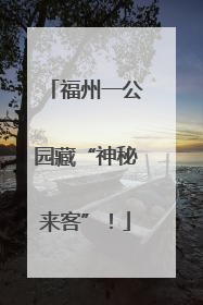 福州一公园藏“神秘来客”！