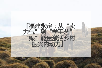 福建永定：从“卖力气”到“学手艺”“赈”能量激活乡村振兴内动力