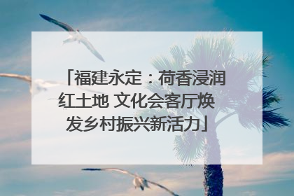 福建永定：荷香浸润红土地 文化会客厅焕发乡村振兴新活力