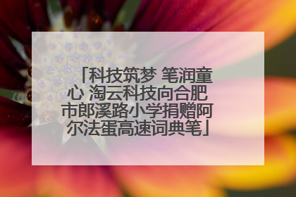 科技筑梦 笔润童心 淘云科技向合肥市郎溪路小学捐赠阿尔法蛋高速词典笔