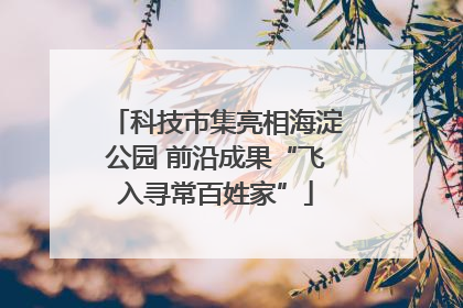 科技市集亮相海淀公园 前沿成果“飞入寻常百姓家”