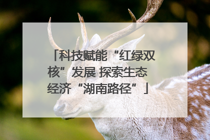 科技赋能“红绿双核”发展 探索生态经济“湖南路径”