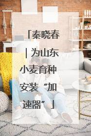 秦晓春｜为山东小麦育种安装“加速器”